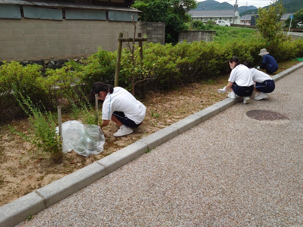 活動写真