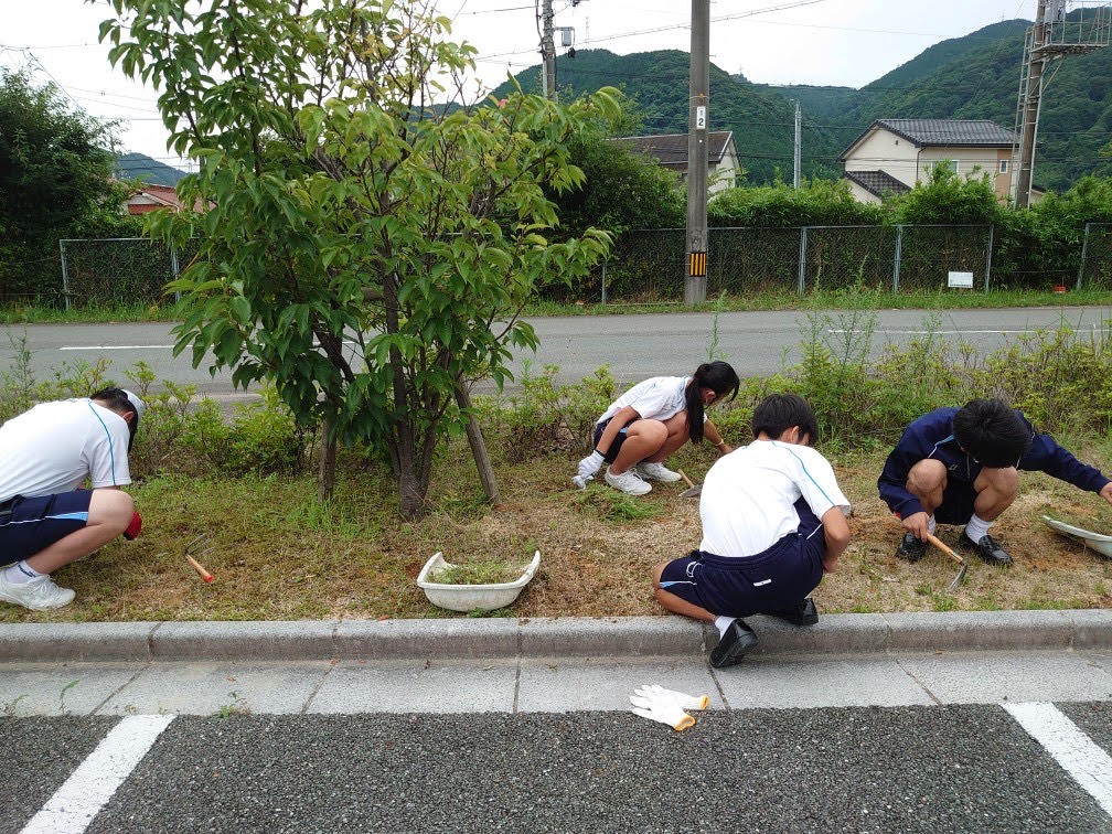 活動写真
