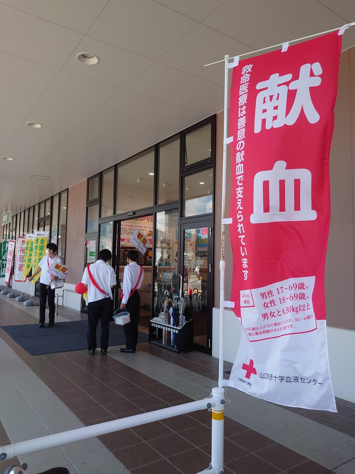 活動の様子