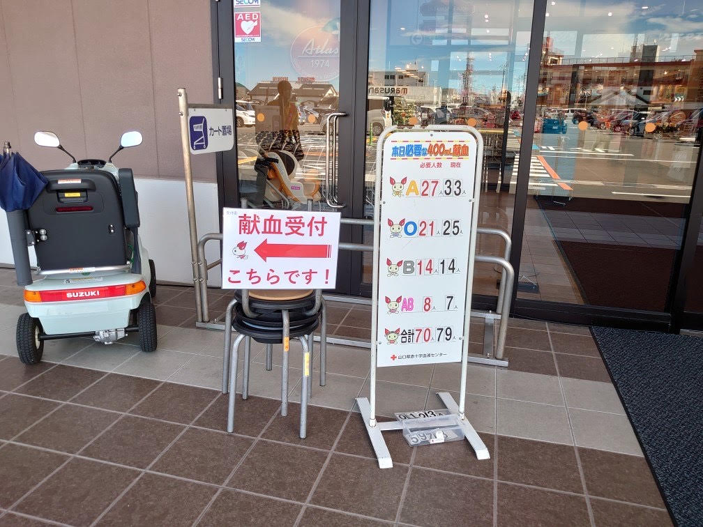 活動の様子
