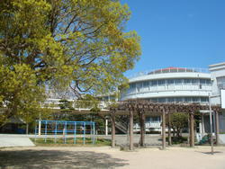 校舎5.JPG