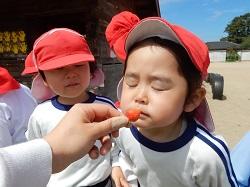DSCN5229.JPG