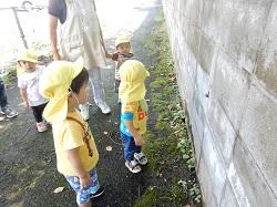 DSCN5606.JPG