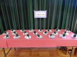 DSCN9640.JPG