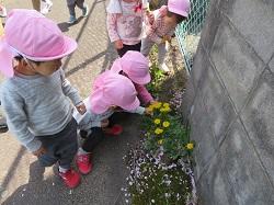 IMG_8692.JPG